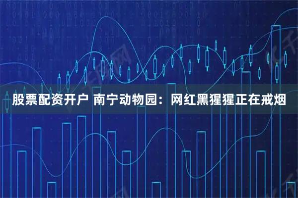 股票配资开户 南宁动物园:网红黑猩猩正在戒烟